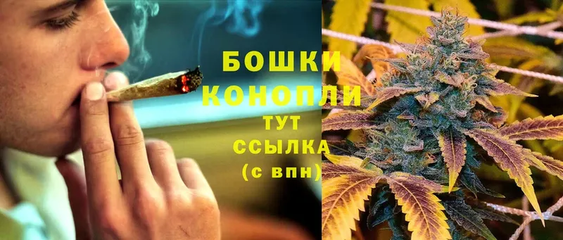 Бошки марихуана THC 21%  Ковров 